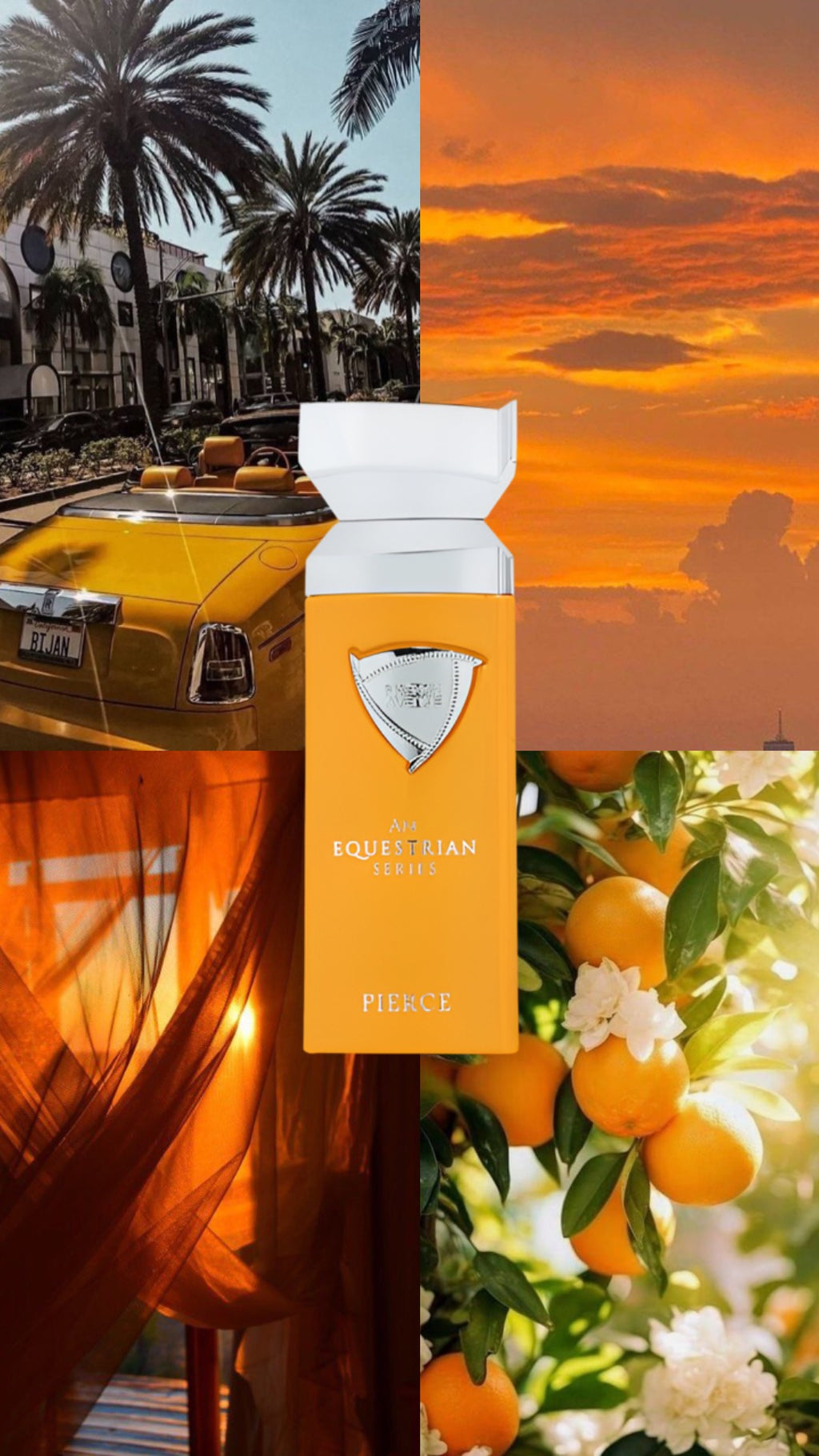 French Avenue - An Equestrian Series Pierce