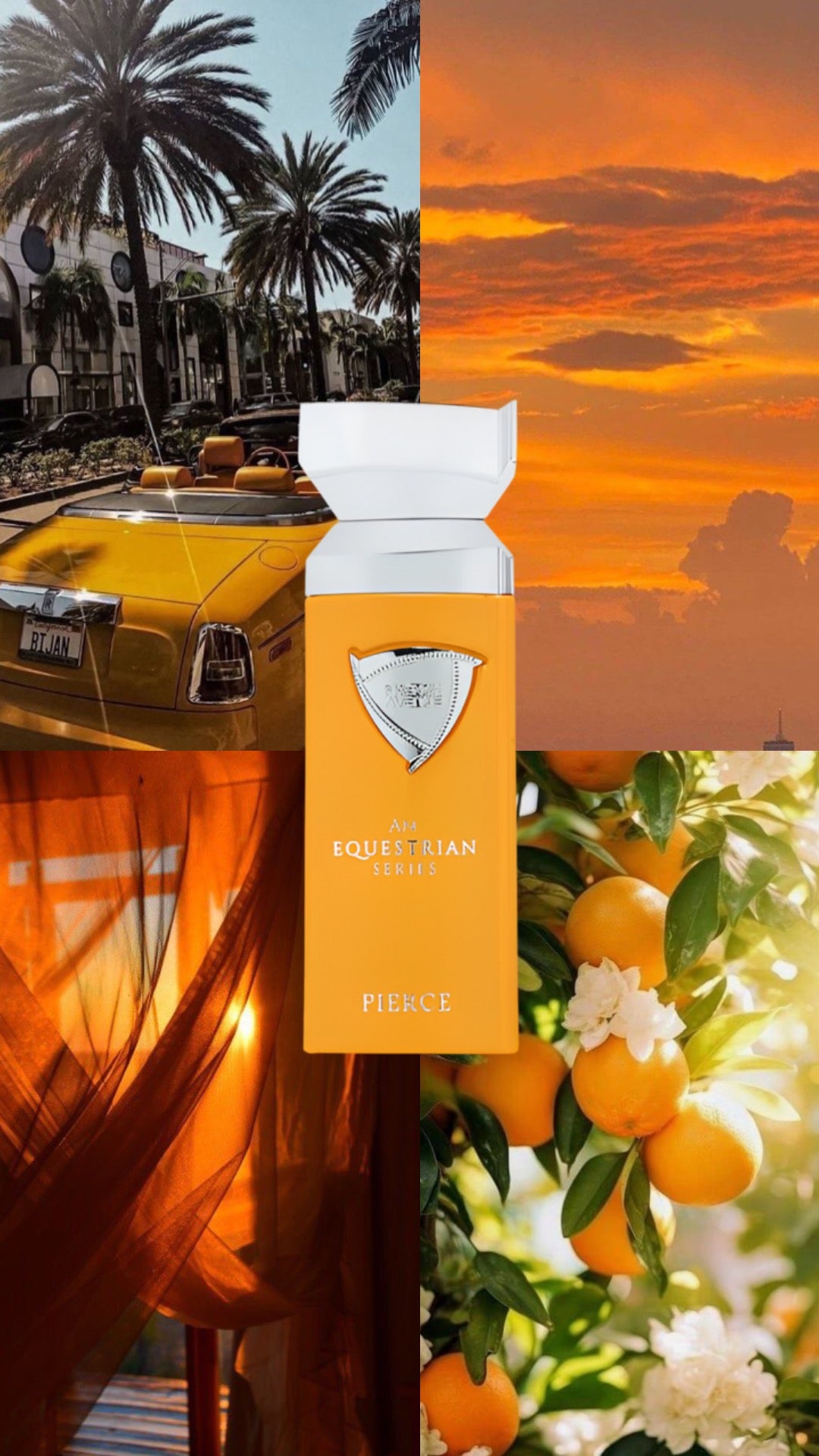 French Avenue - An Equestrian Series Pierce