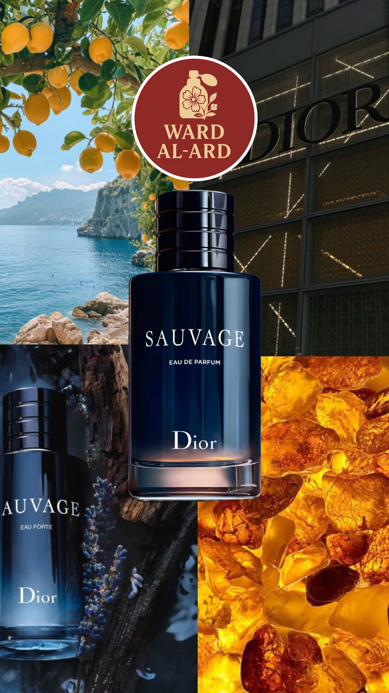 Dior - Sauvage Eau De Parfum
