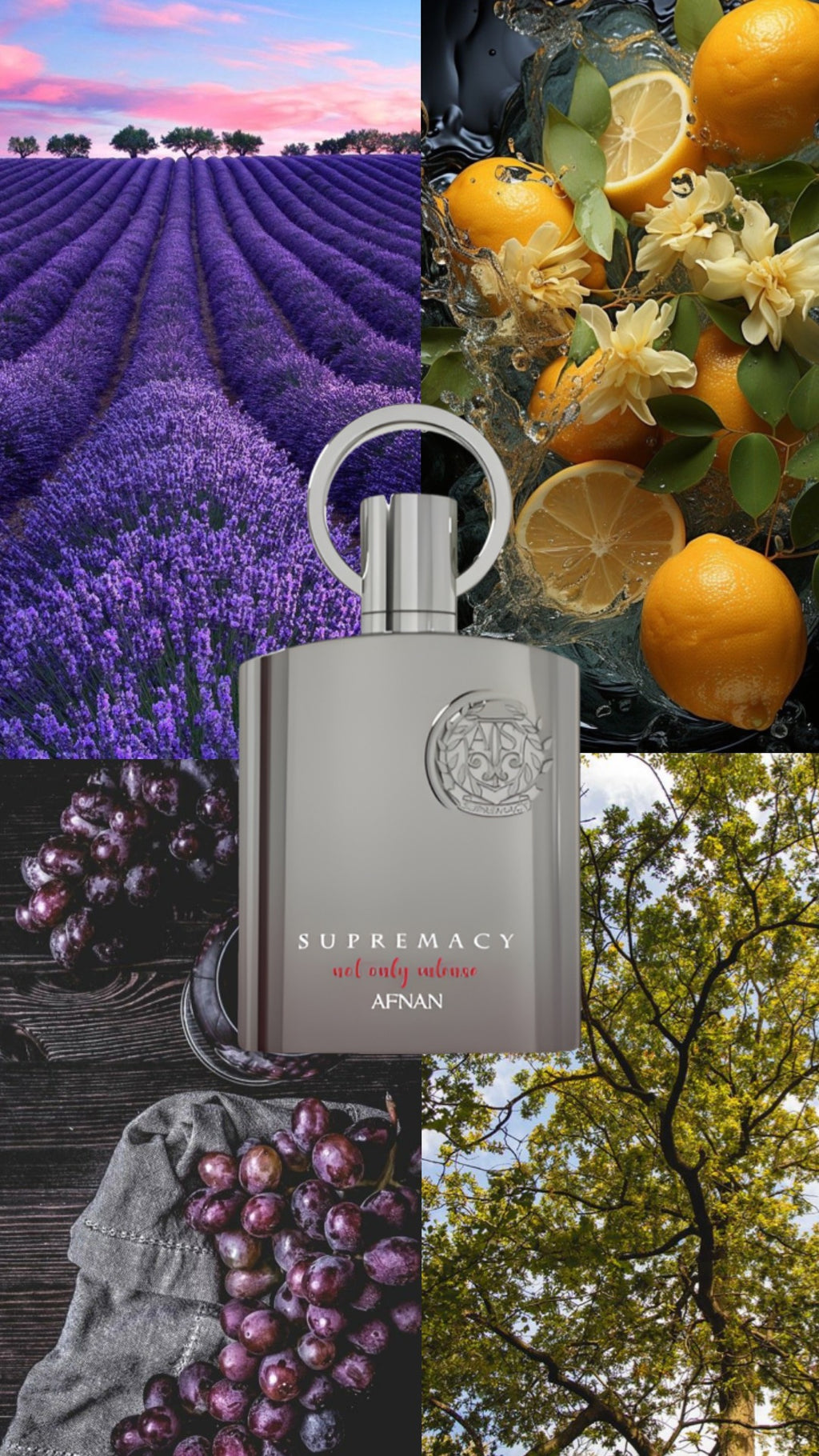 Afnan - Supremacy Not Only Intense