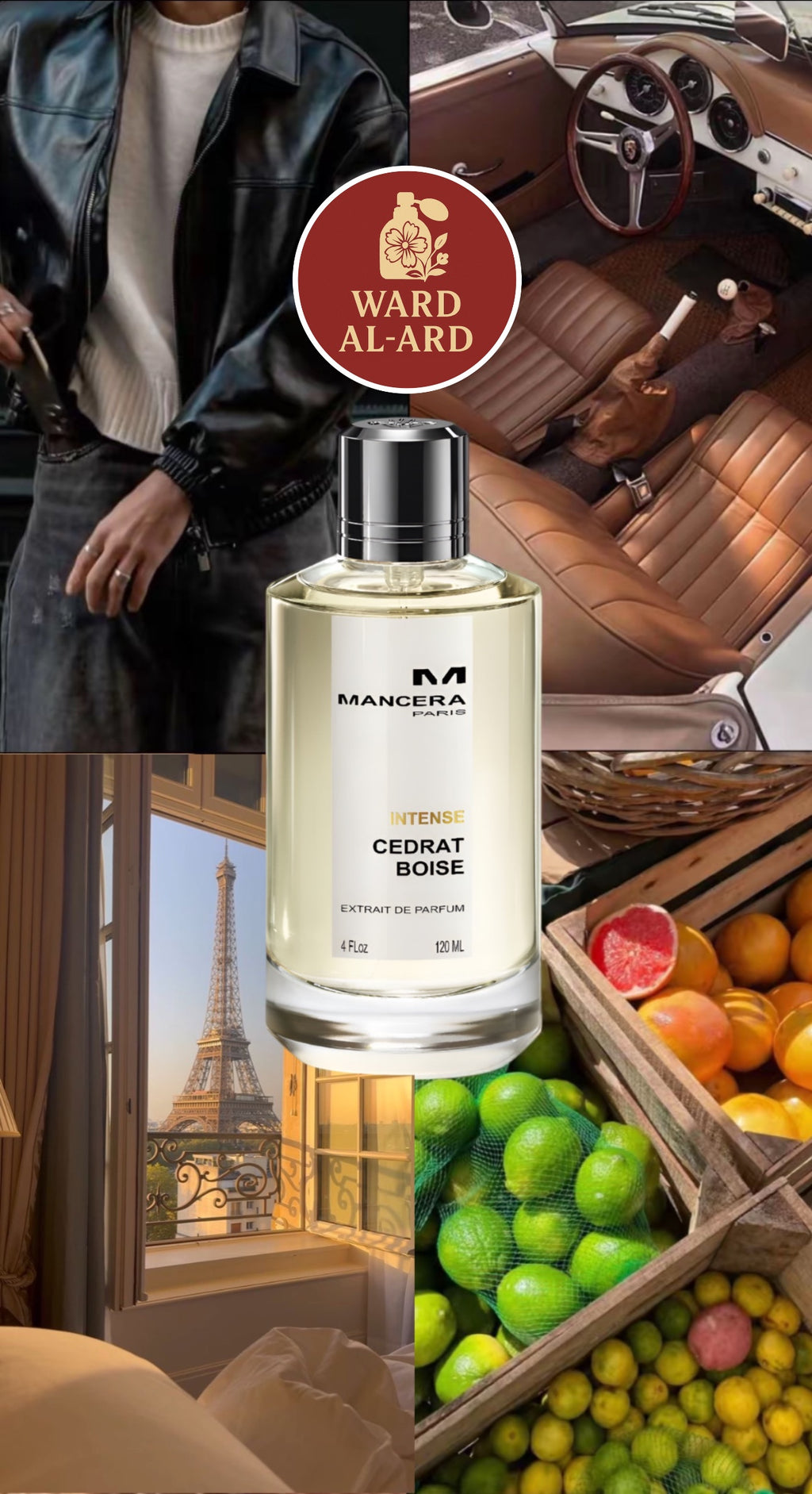 Mancera - Intense Cedrat Boise