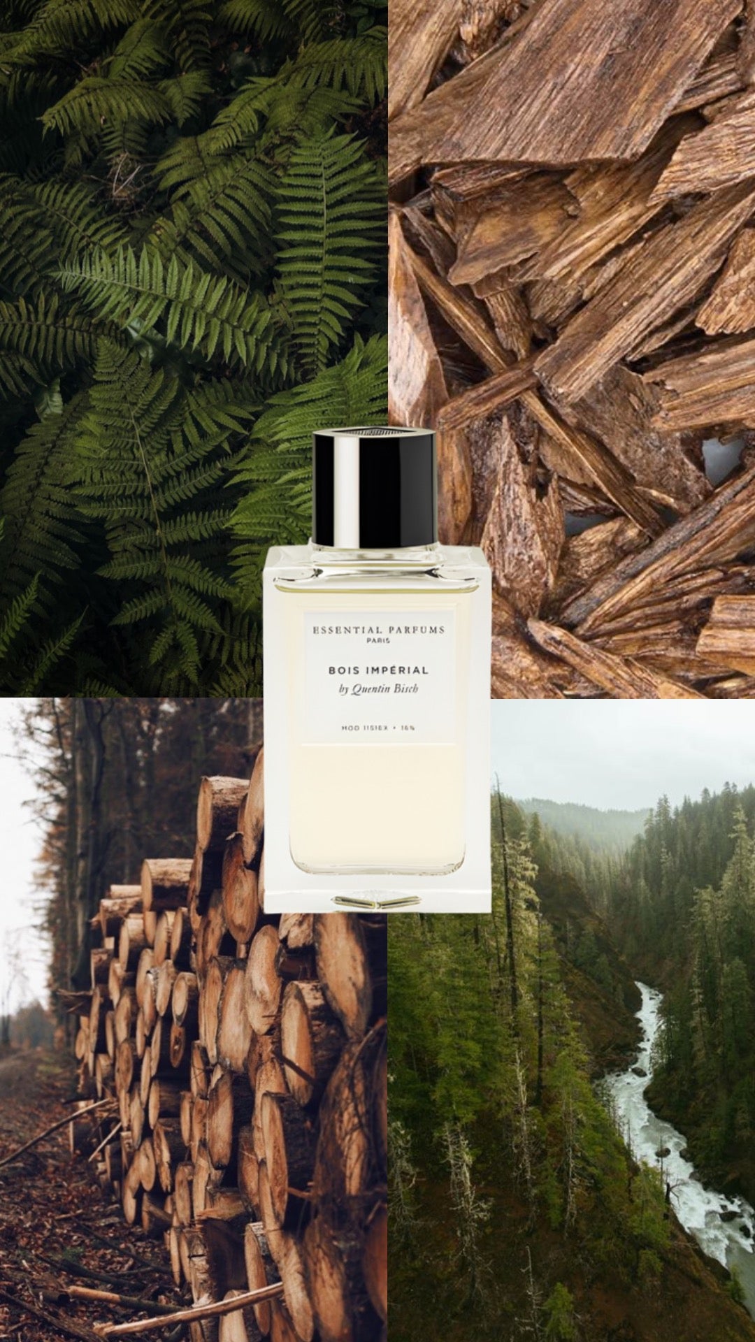 Essential Parfums - Bois Imperial