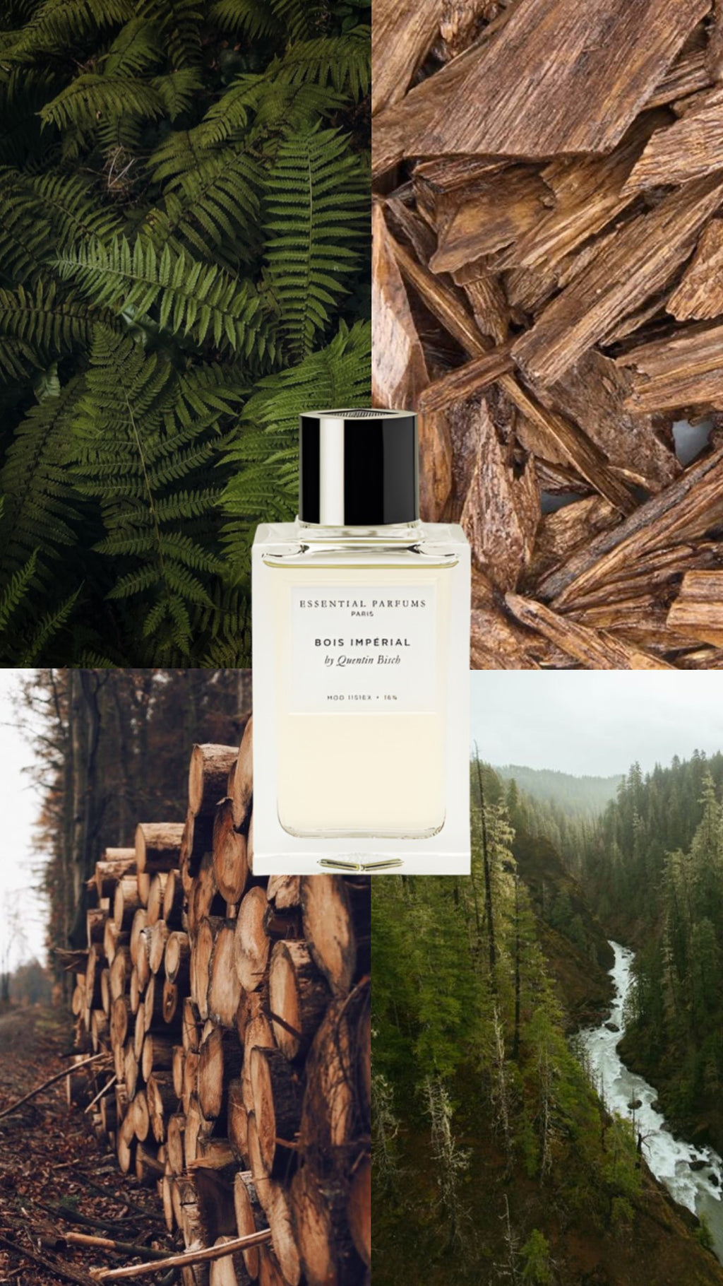Essential Parfums - Bois Imperial