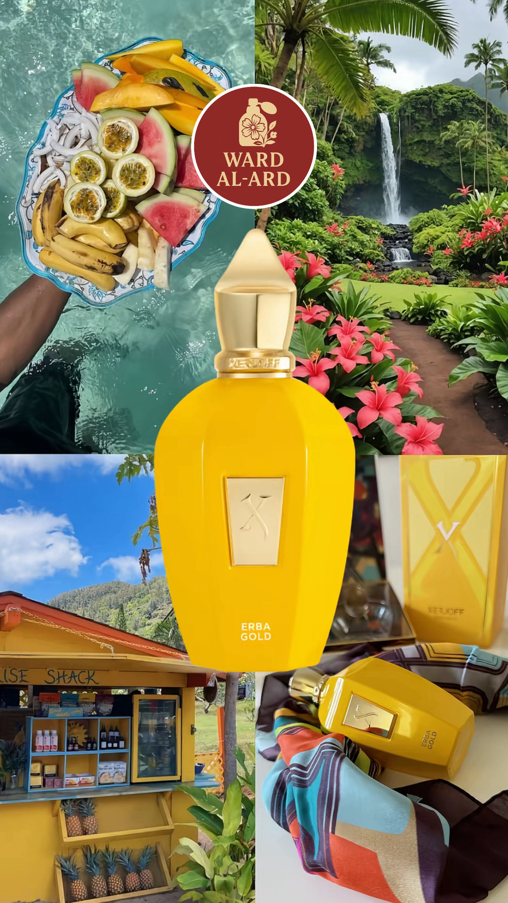Xerjoff - Erba Gold