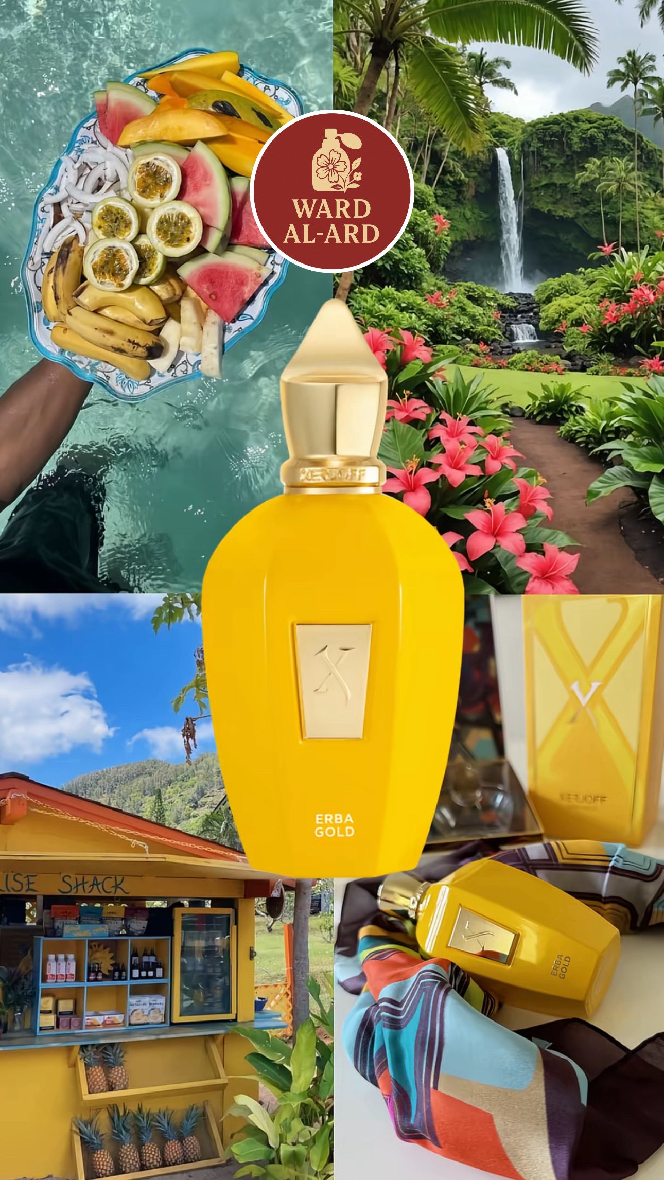 Xerjoff - Erba Gold