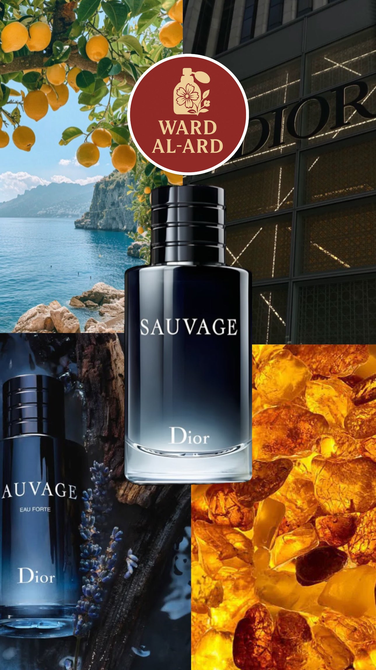 Dior - Sauvage Eau De Toilette