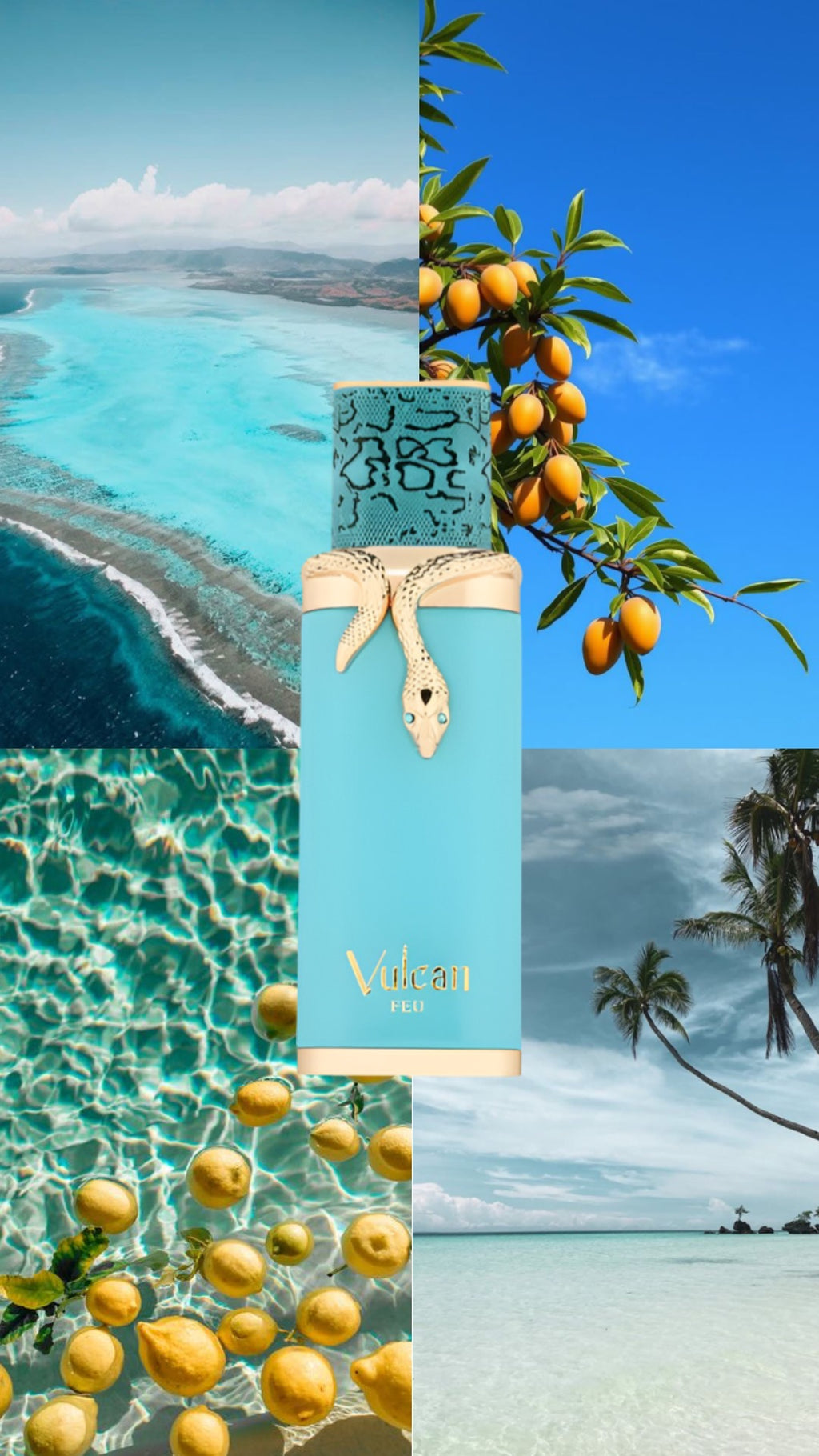 French Avenue - Vulcan Feu