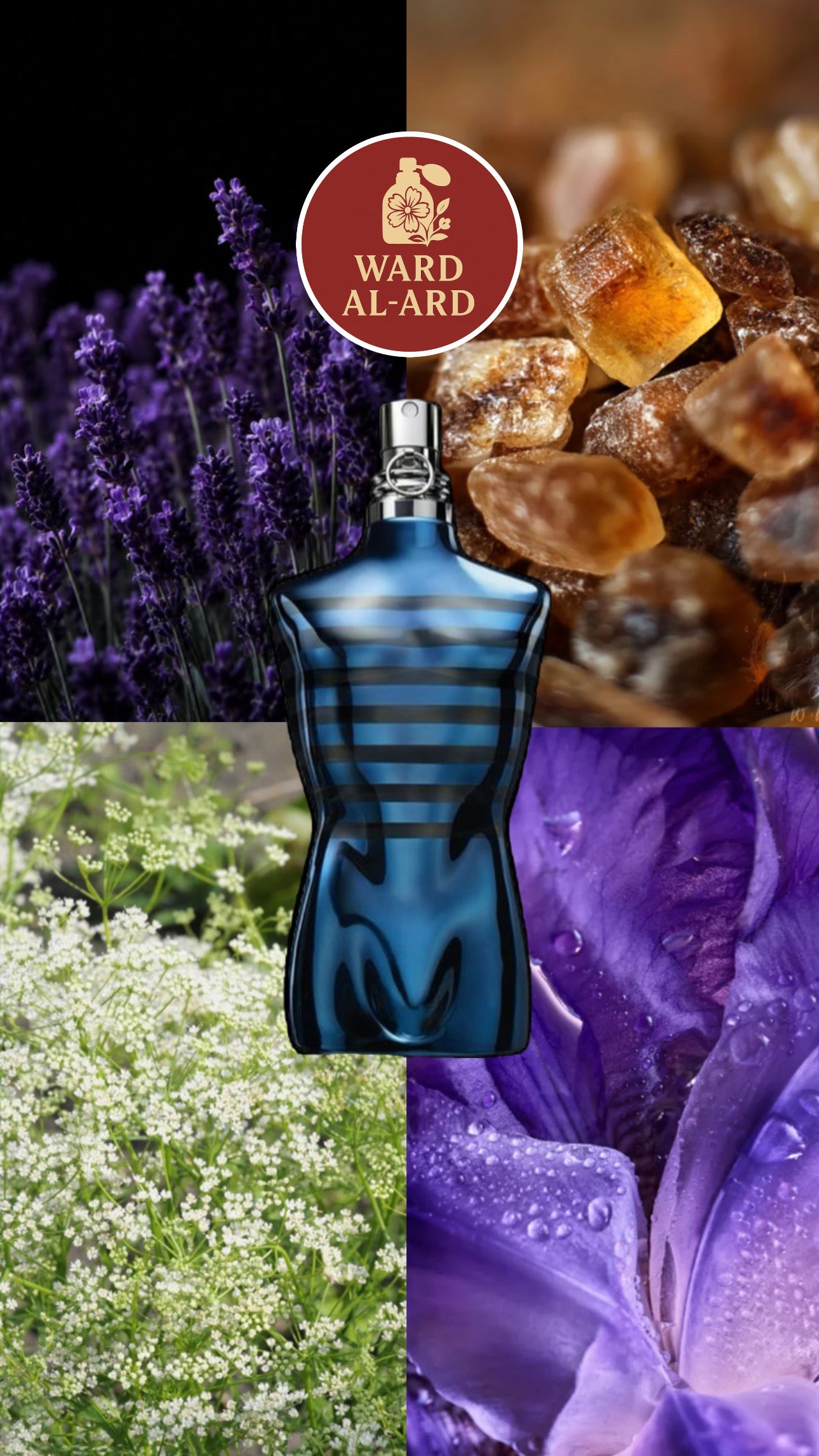 Jean Paul Gaultier - Le Male In Blue