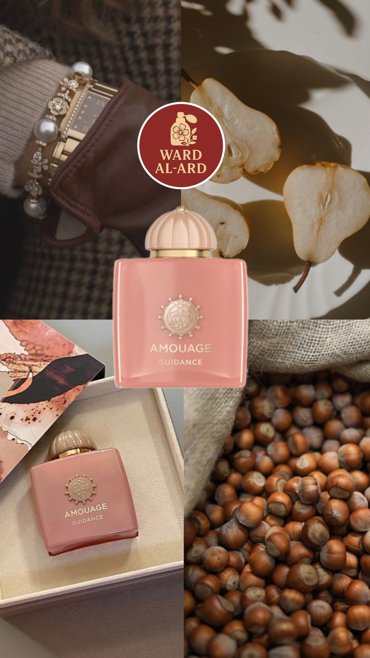 Amouage - Guidance