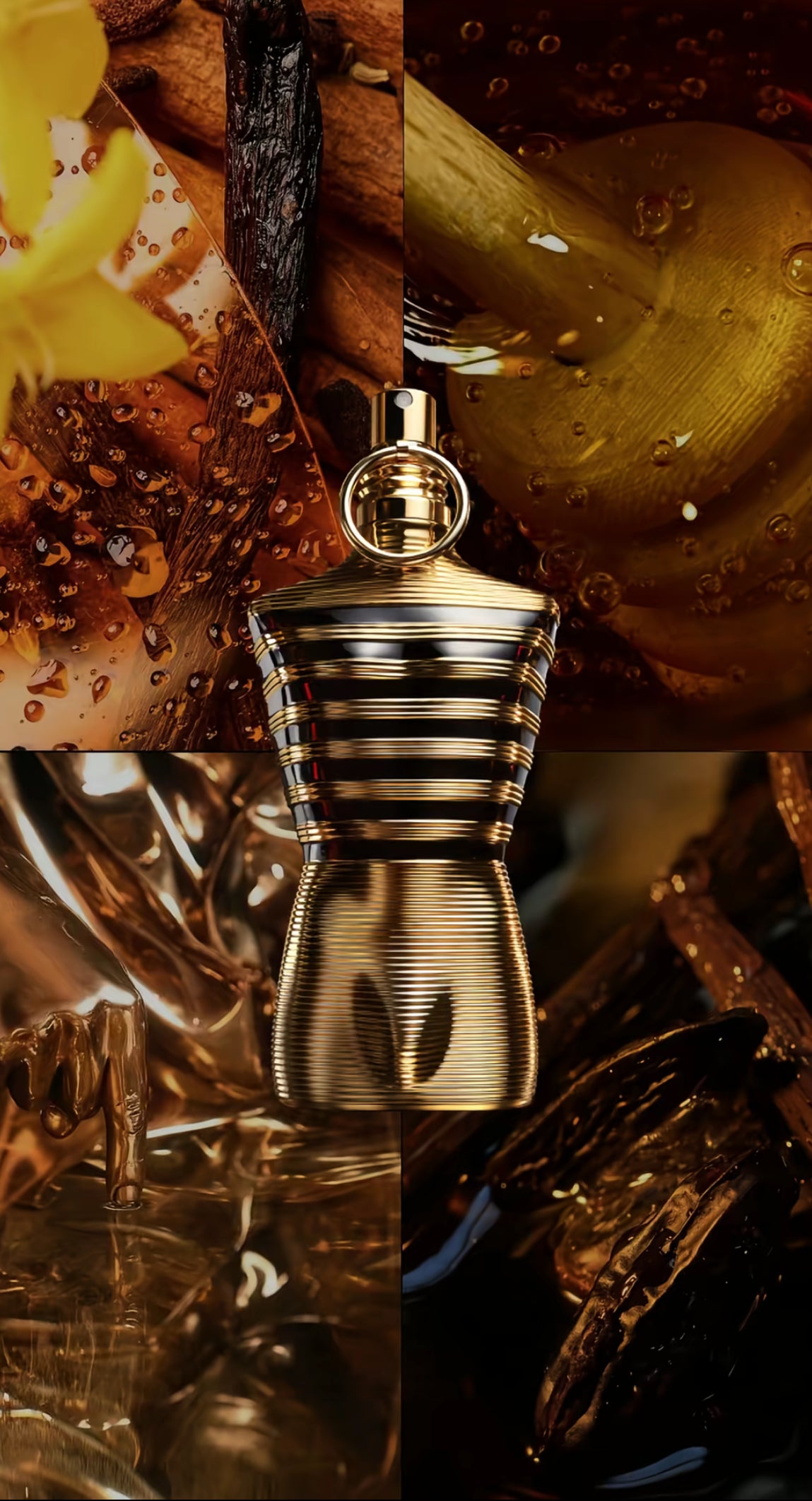 Jean Paul Gaultier - Le Male Elixir