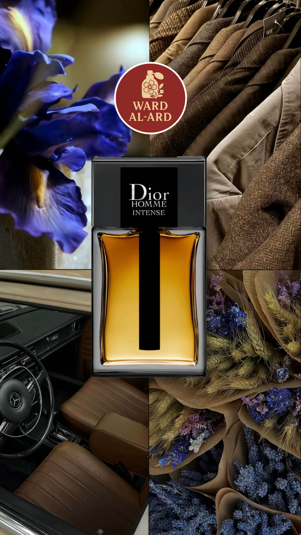 Dior - Homme Intense