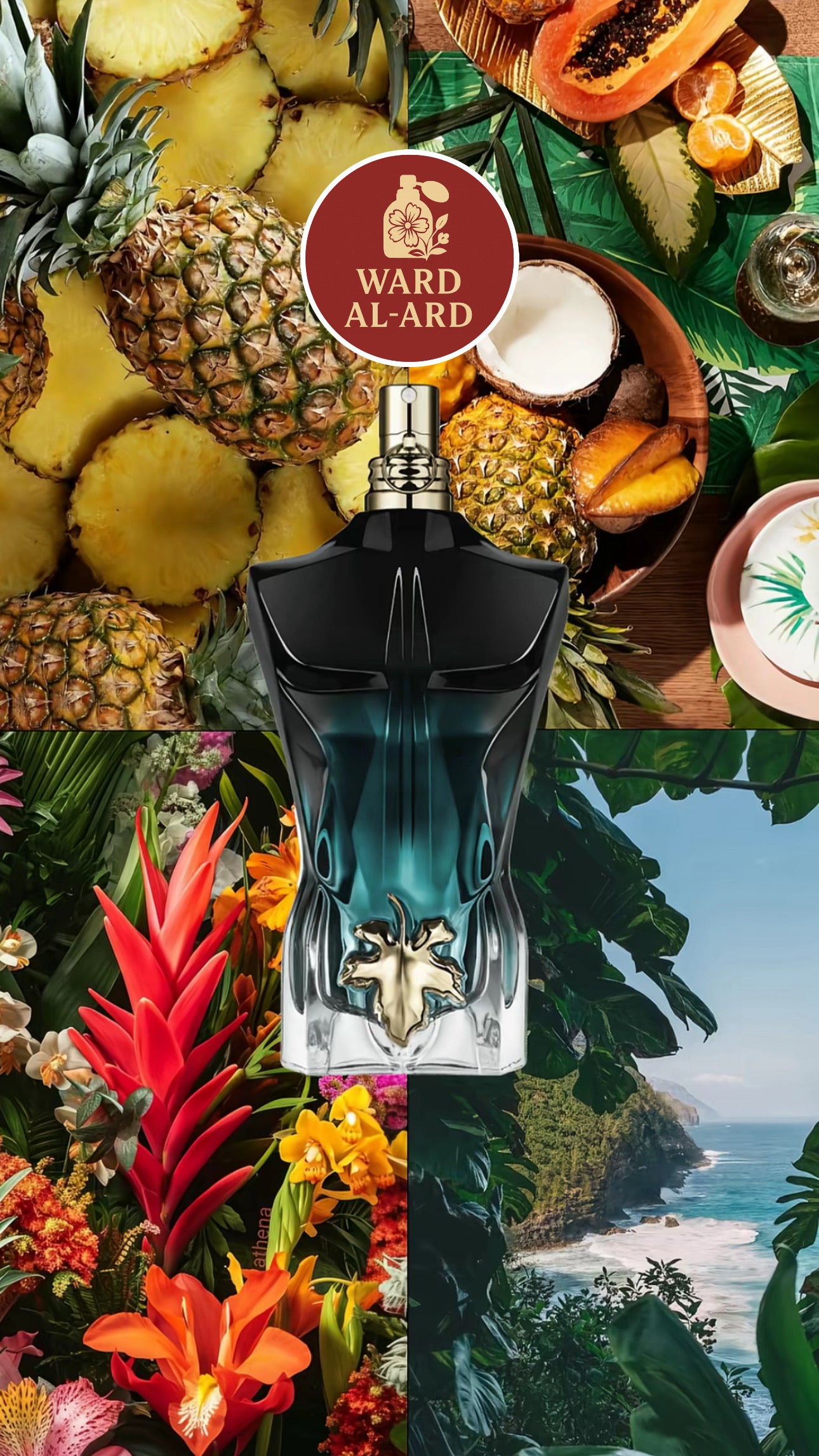 Jean Paul Gaultier - Le Beau Le Parfum