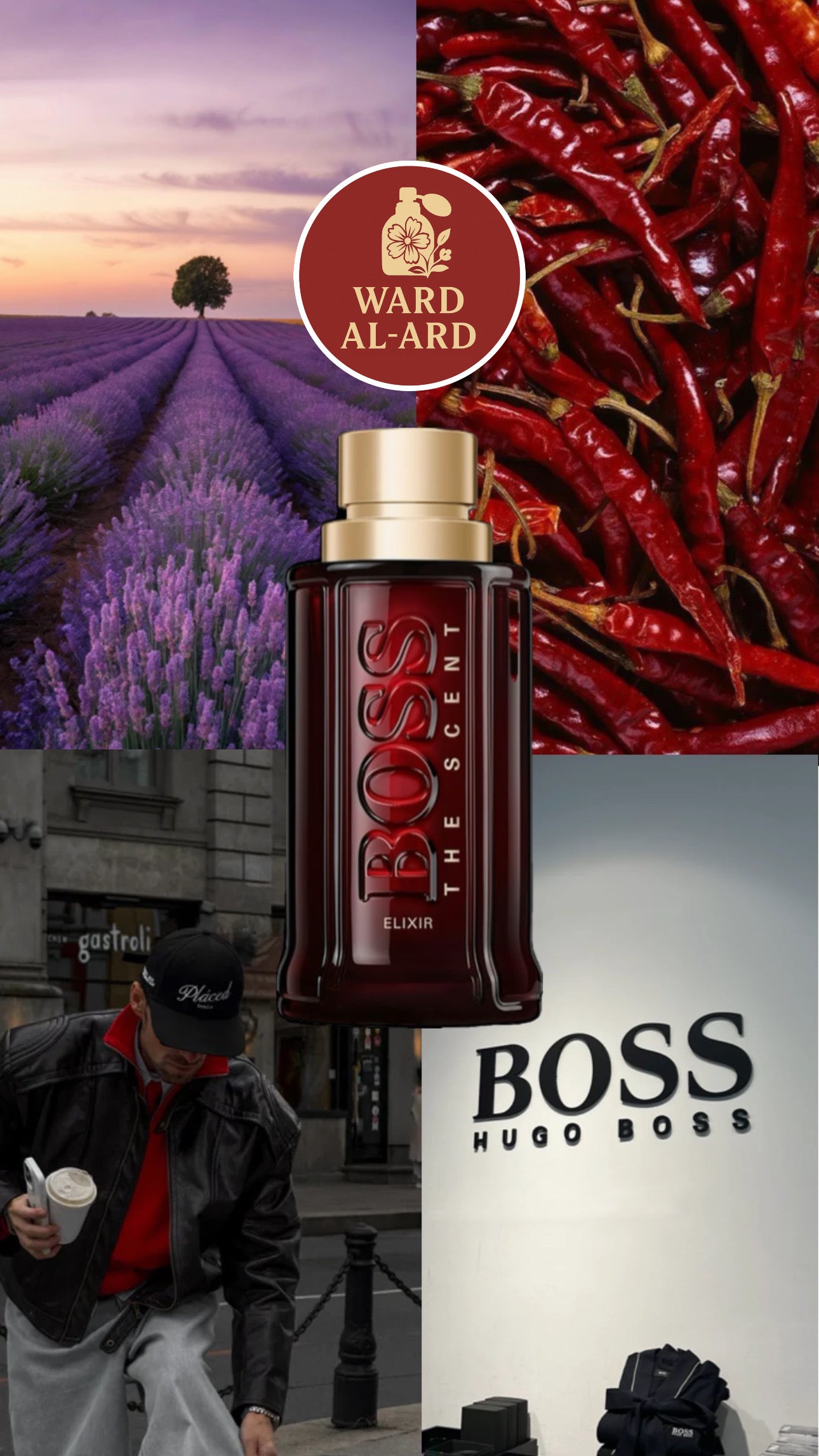 Boss - The Scent Elixir For Him